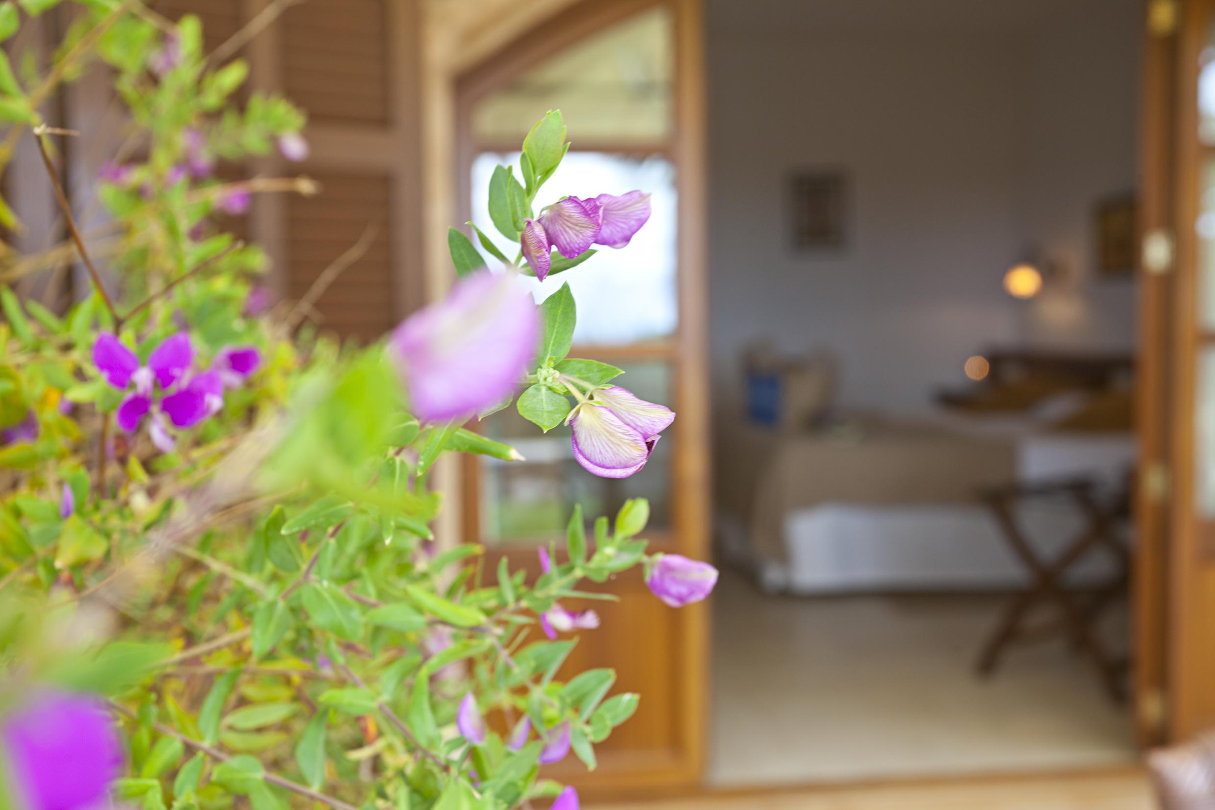 Agroturisme Na Martina 산타니 외부 사진